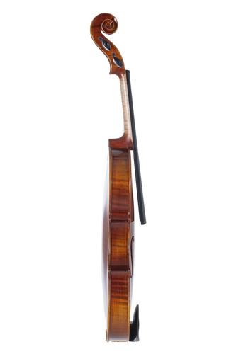 Violino maestro - maestro,