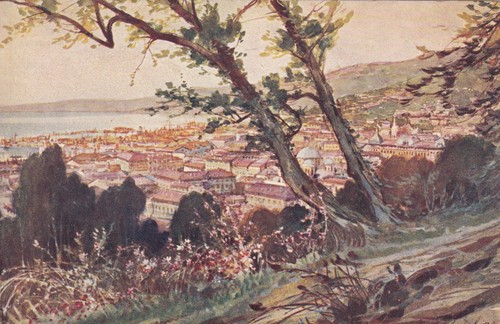 Cartolina trieste panorama - di,