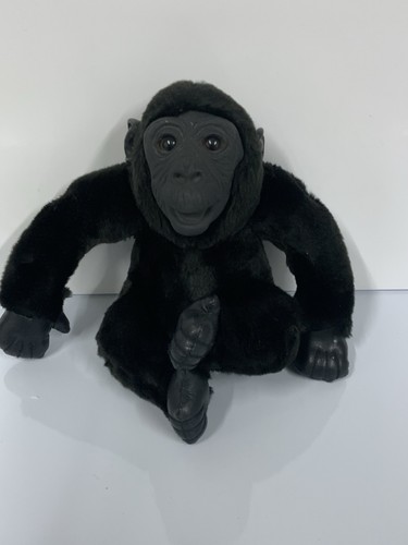 Zsl zoo londra peluche - zsl, di