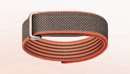 Google fitbit air edizione - fitbit,
