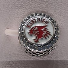 Disneyland Paris Pandora High