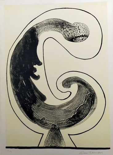 Arturo carmassi litografia - arturo,