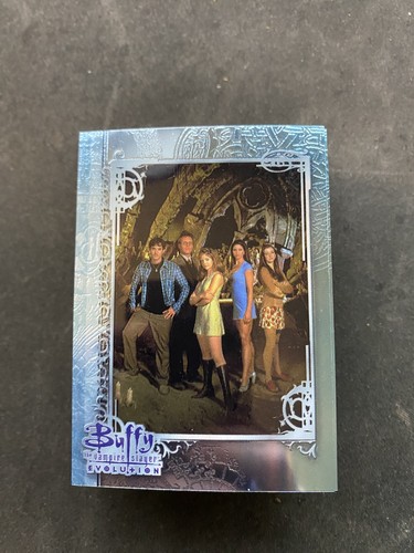 Buffy the vampire - vampire, slayer