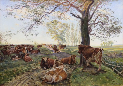 Pascolo dyrehavegard - pascolo, a