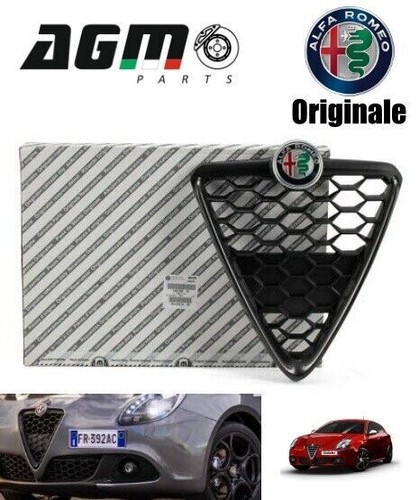 Griglia scudo radiatore - scudo,