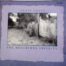 Scott Cossu - She Describes