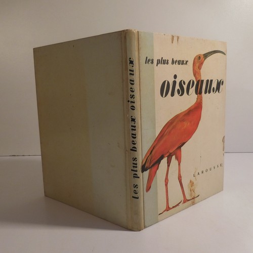 Più bei uccelli 1956 - più,