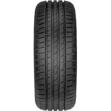 Pneumatico 205/55 R 17 95V FORTUNA WI Winter