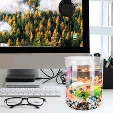  Acquario Da Scrivania