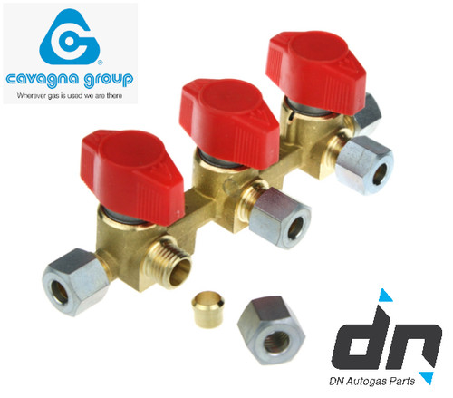 Cavagna manifolds tre - tre, vie