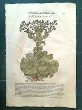 MATTIOLI MATTHIOLI Erbario a