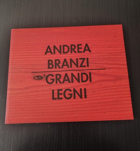 Andrea branzi grandi legni - branzi,
