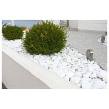 Ciottoli giardino Bianco