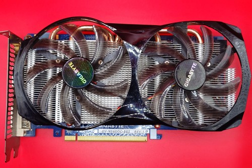 Scheda grafica gigabyte - scheda,