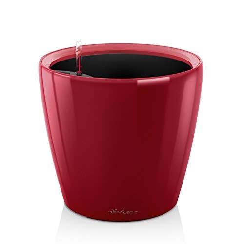 Diametro 35cm altezza - diametro:,