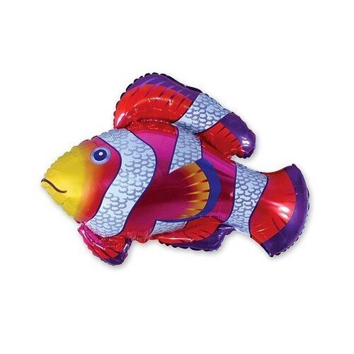 Pallone mylar pesce pagliaccio - pallone,