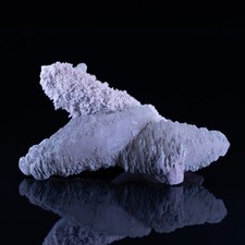 Quarzo e Calcite 💎