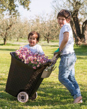 CESTA CARRIOLA TROLLEY CON