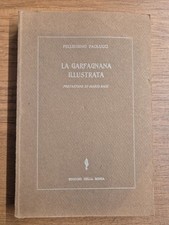 PELLEGRINO PAOLUCCI - LUCCA