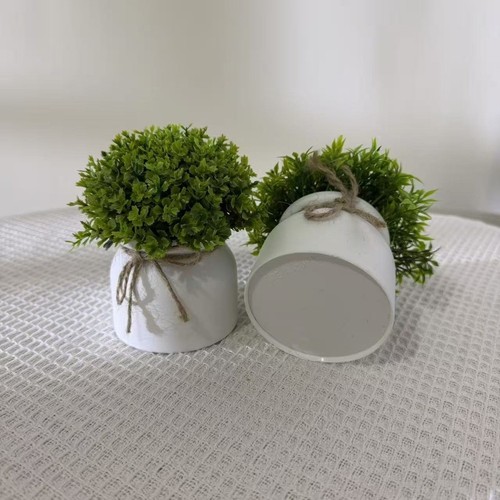 Pianta vaso plastica - pianta, verde