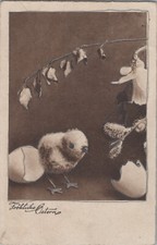 Cartolina, cartolina, Buona