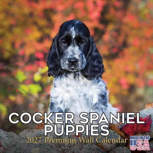 Calendario cocker spaniel - calendario,