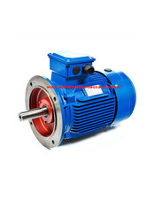 25 HP 18,5 KW 1400 Giri Mec