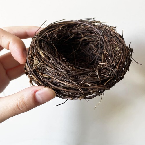 Pezzi nido per uccelli - nido,
