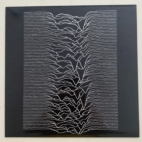 Joy division warsaw prima - joy,