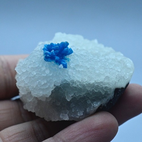Rarità cavansite su - cavansite,