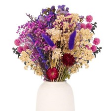 Halinuia 30 Pcs Fiori Secchi