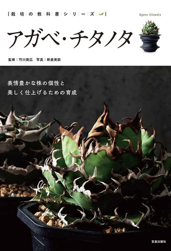 Agave titanota ovatifolia book - agave,