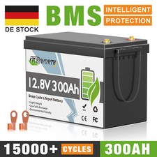Batteria al litio 300Ah 12V LiFePO4 batteria BMS 15000+ cicli camper impianto 