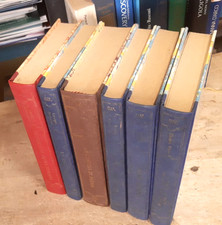 Evergreen - Grande Biblioteca  per Ragazzi - Mondadori D'Agostini Lotto 6 Libri