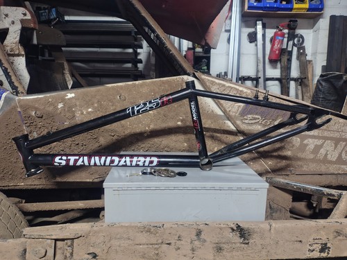 Standard byke platinum 125r - platinum,
