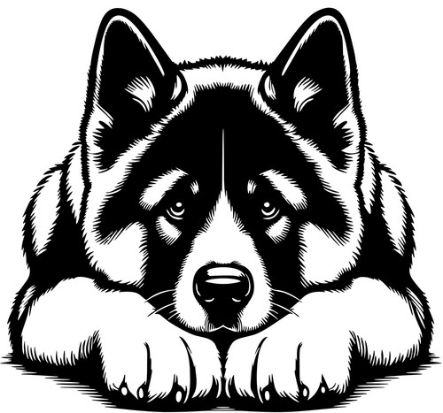 Adesivo american akita - adesivo,