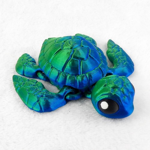 Tartaruga articolata - ,