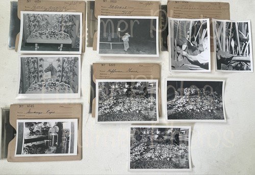 Negativi foto vintage - e, anni