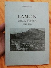 Lamon belluno nella bufera - nella,