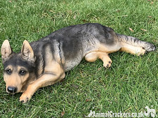 Large laying german shepherd - large,