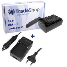 Set: batteria fotocamera 1100