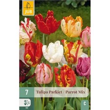 Bulbi di Tulipano Parrot Mix - Olandesi a fioritura garantita (7 pz)