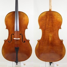 Violoncello Maestro