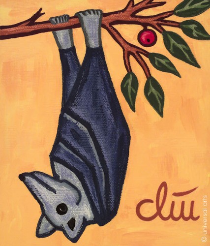 Jacqueline ditt l attento - ditt, l'attento