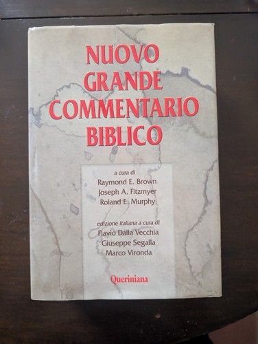 Nuovo grande commentario
