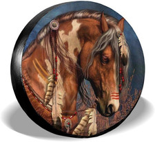 Cavallo Nativo Americano Ruota