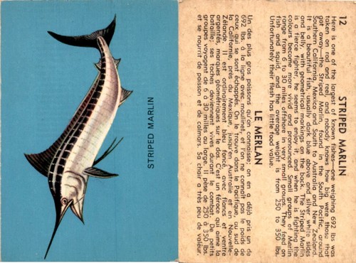V339 parkhurst fish 1962 - v339-19, parkhurst,