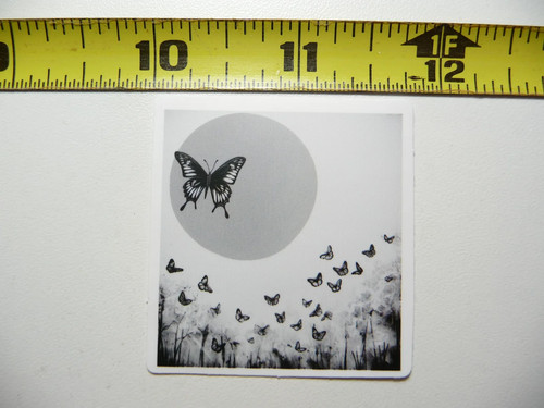 Farfalle migratrici sole - farfalle,