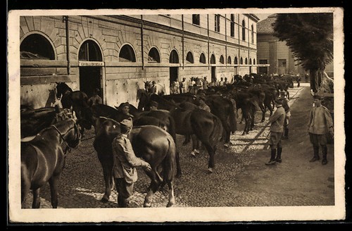 Torino scuola - torino,,