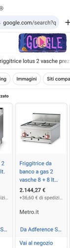 Friggitrice professionale - professionale, a